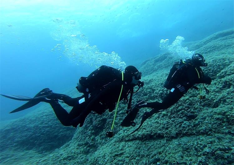 Slika /2019/Alesandra1.jpg