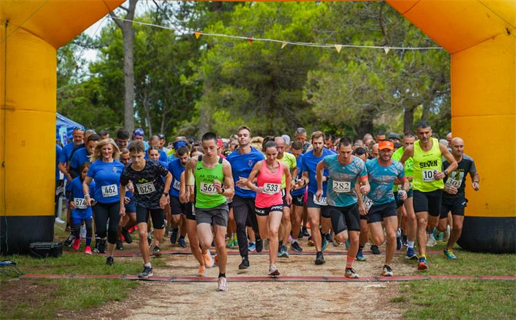 Slika /2024/mit1.jpg